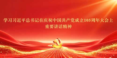 省医保局党组召开会议集体学习习近平总书记在庆祝中国共产党成立105周年大会上的重要讲话精神